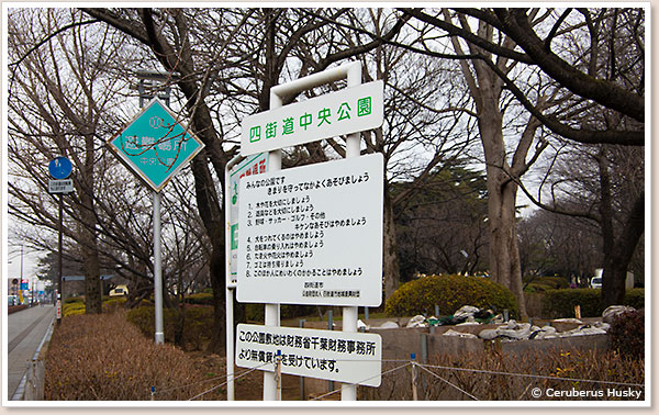 四街道中央公園