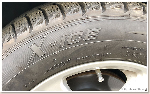 X-ICE