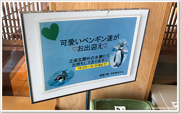ペンギンたちがお出迎え