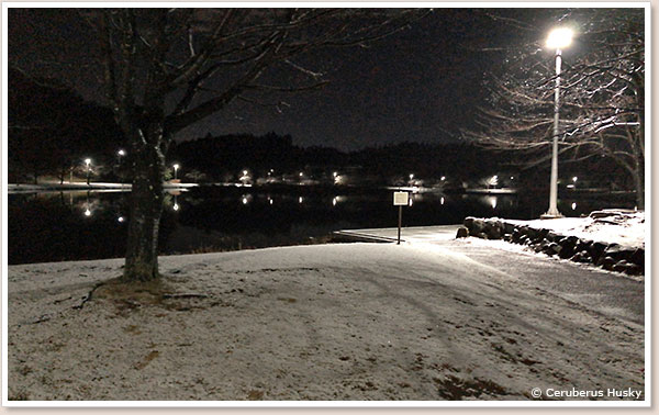 大百池公園