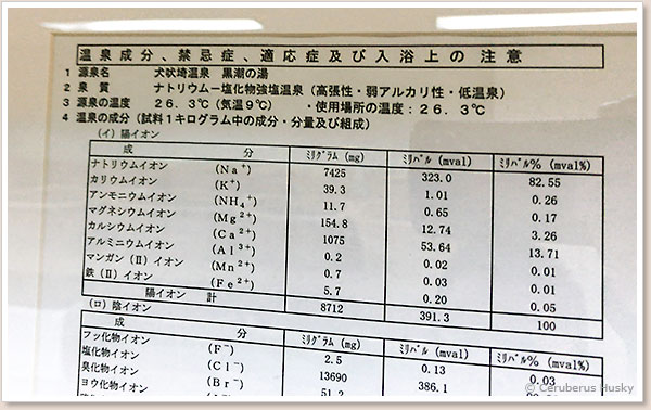 温泉成分 温泉の成分