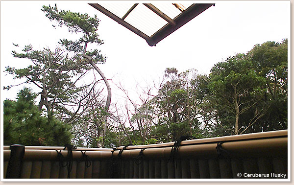 あいにくの曇り空でしたが、天気の良い日は気持ちが良さそうです 屋根あります
