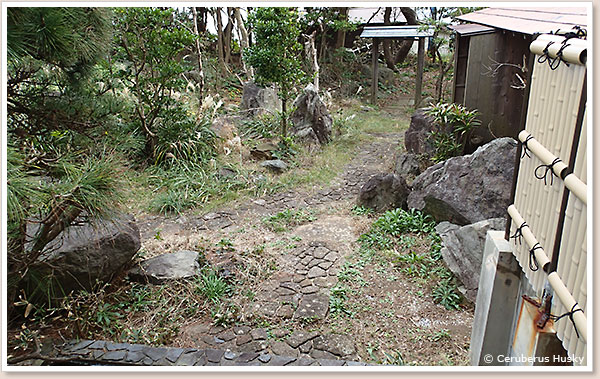 柵の外は日本庭園っぽくなっています 庭園っぽい