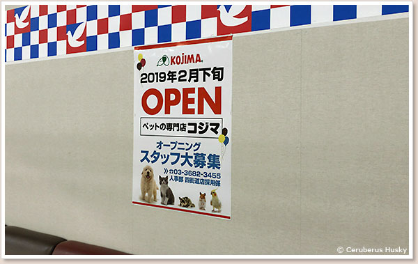 2019年2月下旬オープン