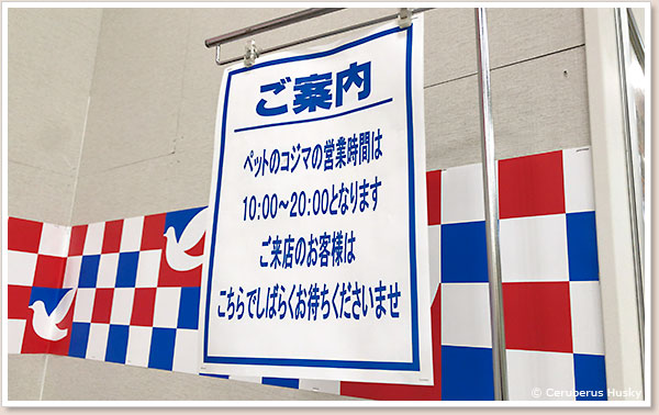 10時から営業