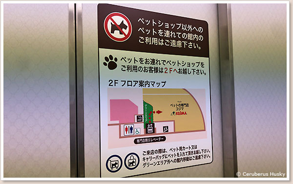 ペット連れの場合