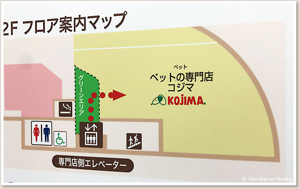 エレベーターから