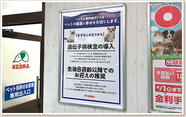 生体販売について