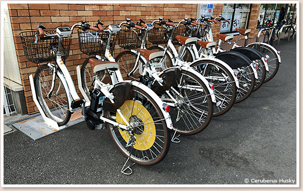 セブンイレブンのHELLO CYCLING