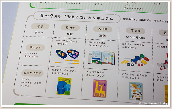 こどもちゃれんじぽけっとカリキュラム
