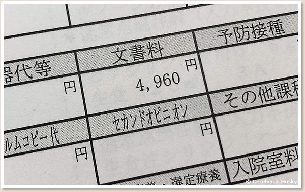 診断書の文書料