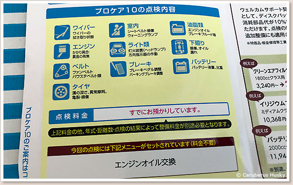 プロケア10