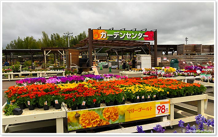 ビバホームちはら台店