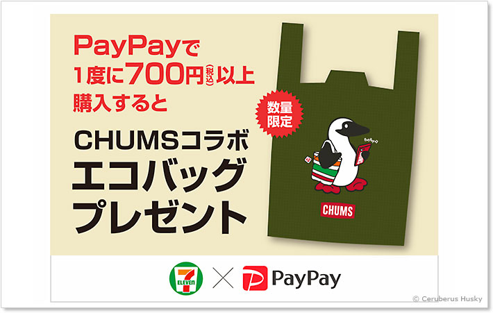PayPayで700円以上購入するともらえます
