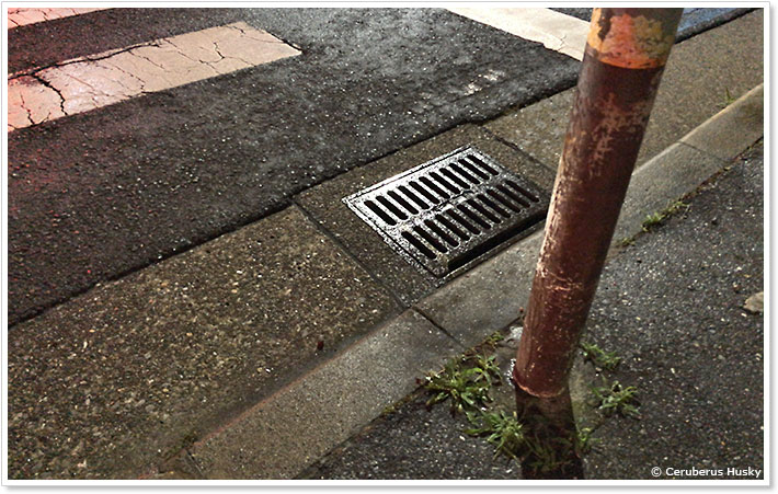 突然の強い雨