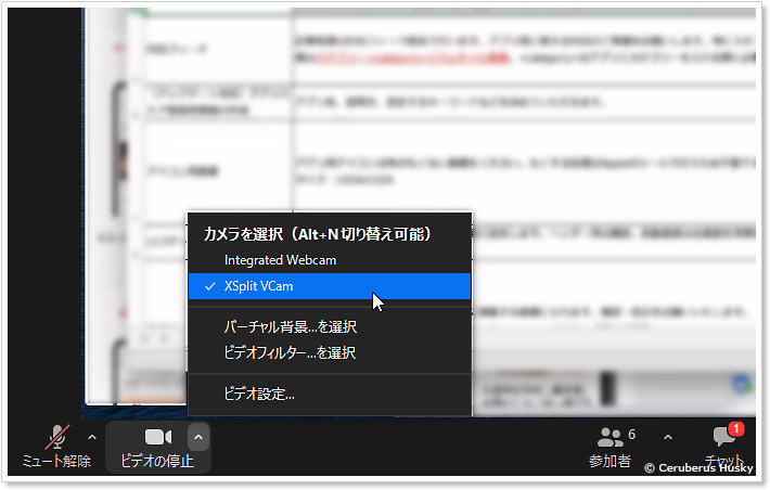 zoomでのカメラ設定