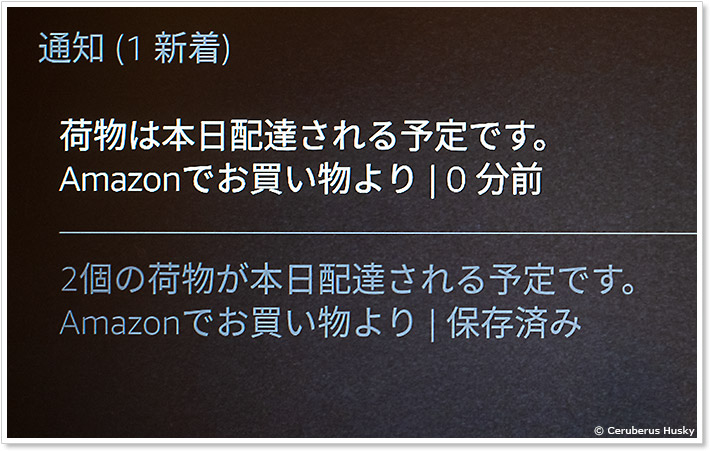 Fire TV Cubeの通知