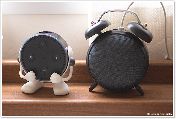 Google Home mini と並べたところ