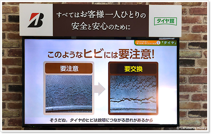 このようなヒビには要注意！