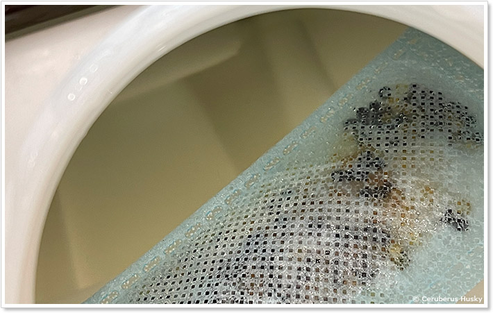 ヨードのミストで空気きれい投入後のタンクの水の色