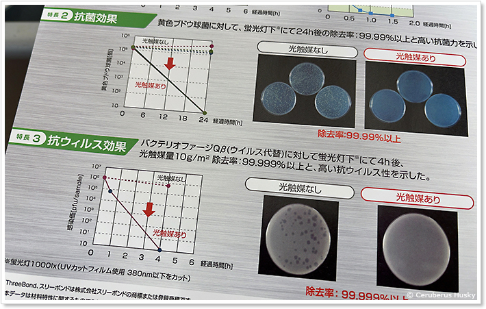 可視光応答型光触媒スプレーの抗菌・抗ウィルス効果