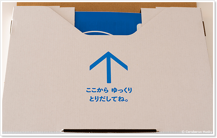 チャレンジパッドNEOの取りだし