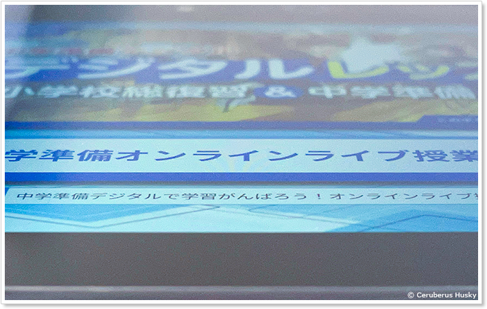 チャレンジパッドNEO