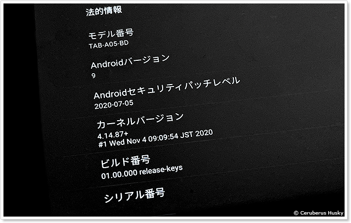 チャレンジパッドNEO