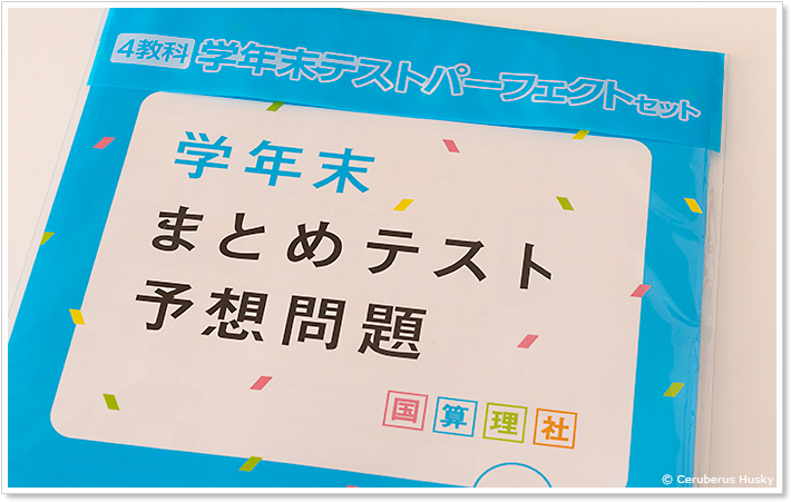 進研ゼミ中学準備講座：学年末まとめテスト予想問題