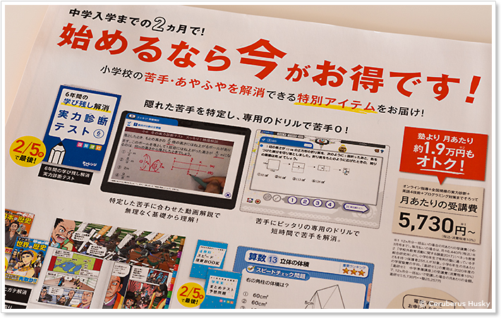 進研ゼミ中学準備講座：受講費