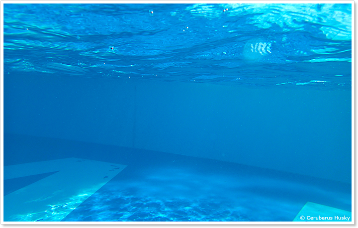 ポカリスエットプールの水中