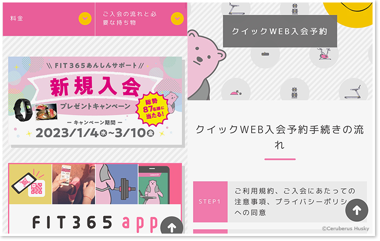 新規入会プレゼントキャンペーン