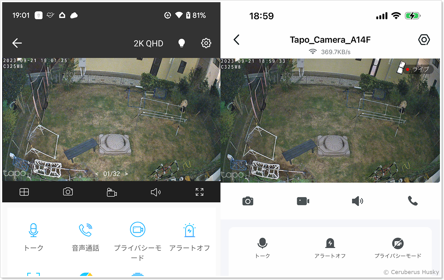 Tapoアプリで表示