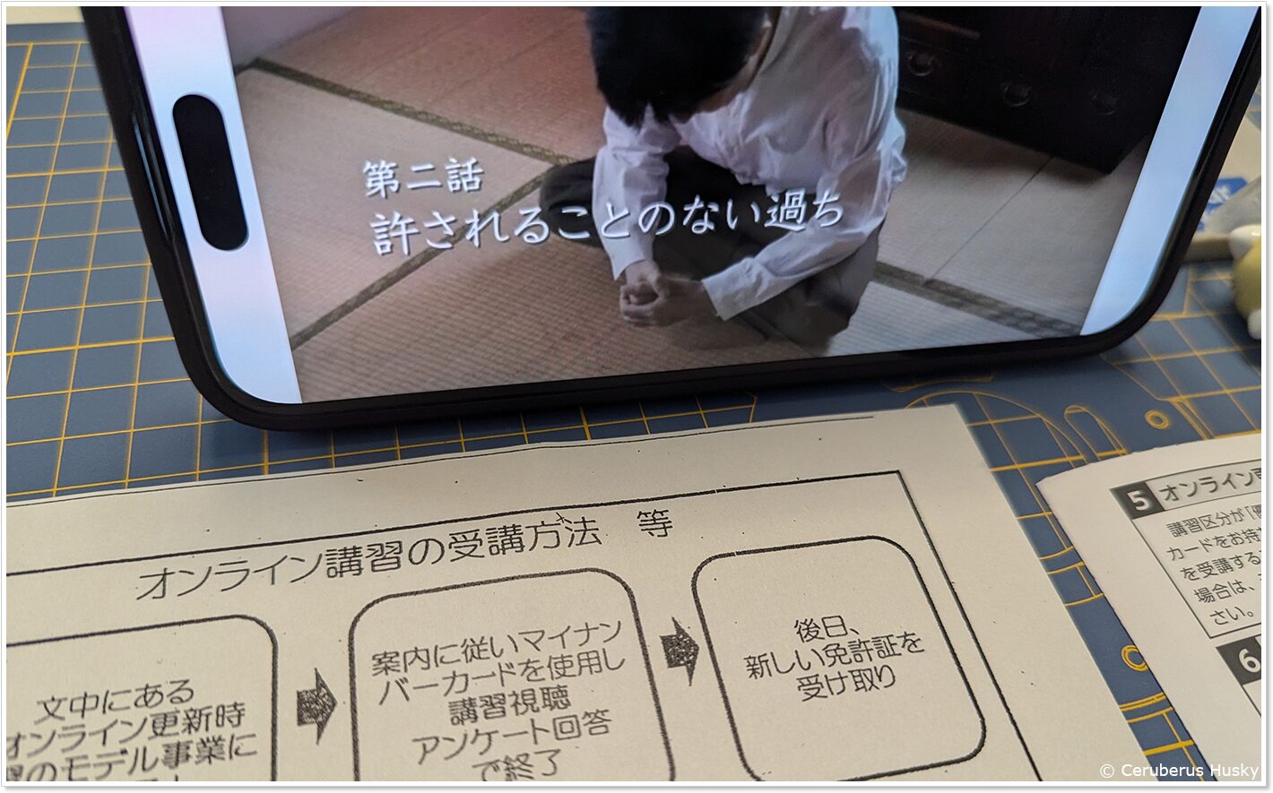オンライン講習の内容