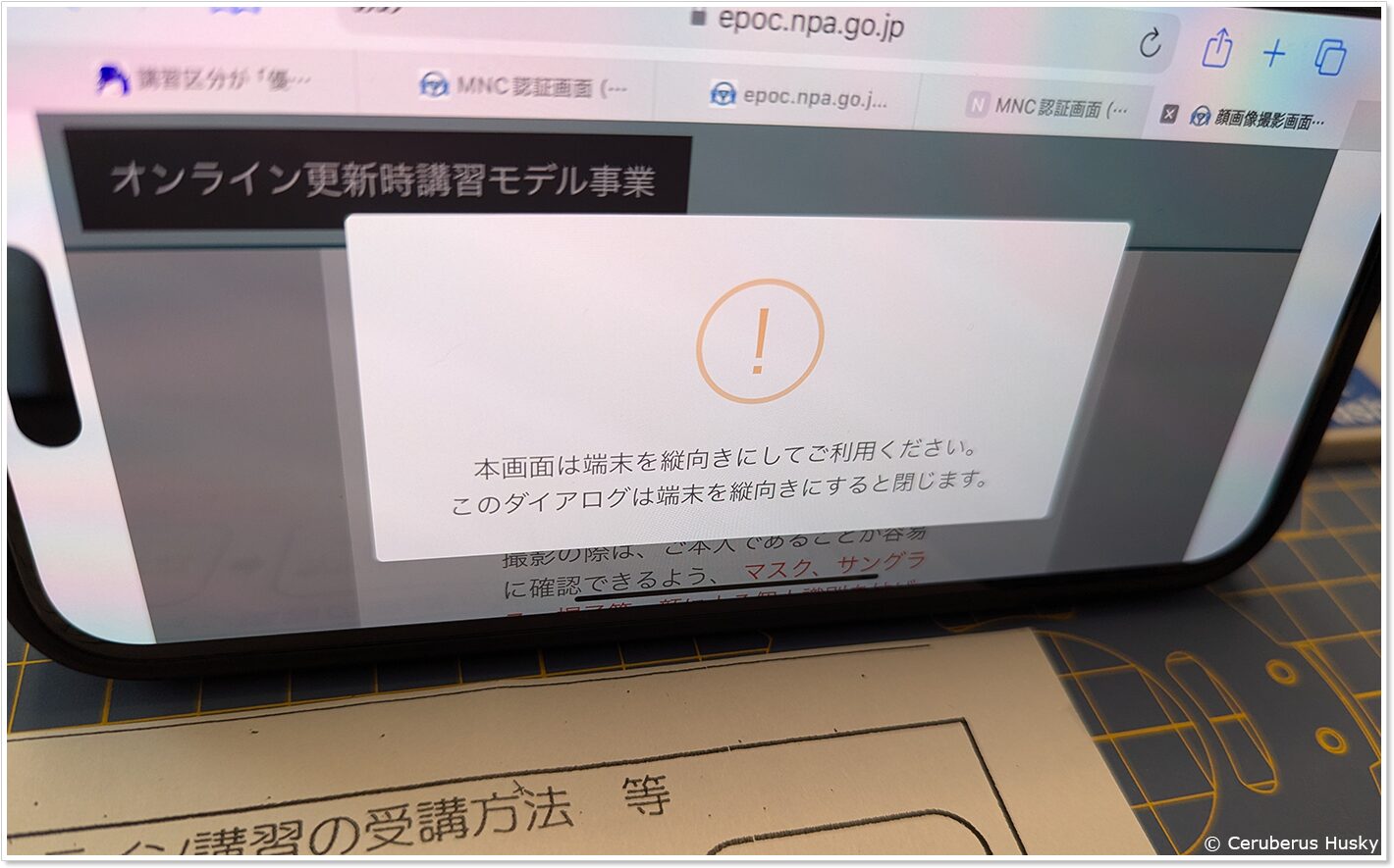 オンライン講習は横向きで